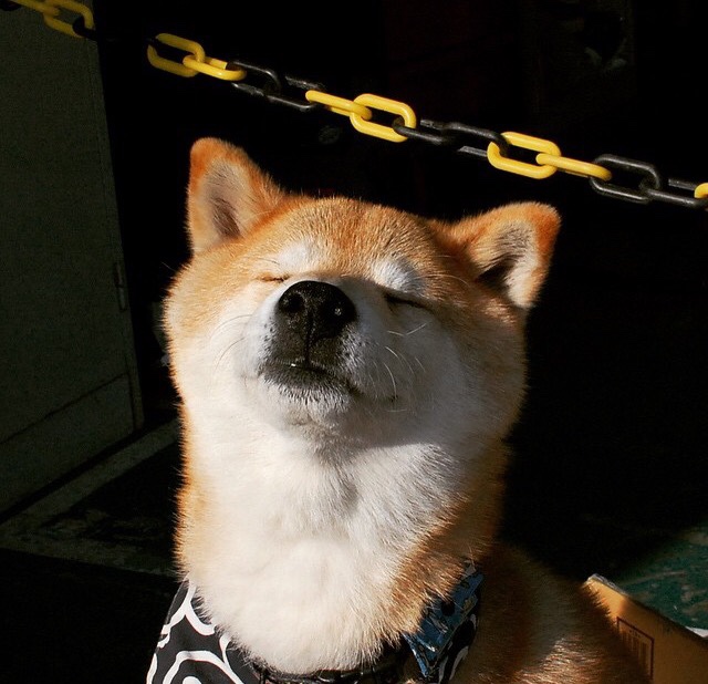 中国足球外援政策调整，吸引更多外籍球员，中国国家足球队外援