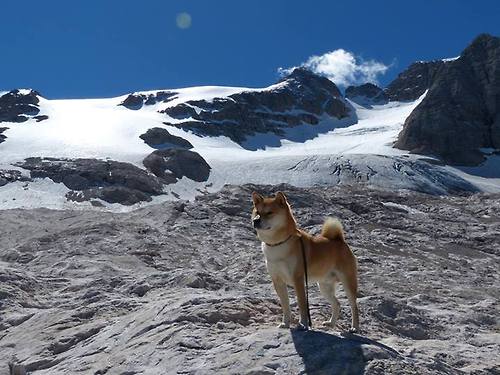 意大利举重选手在男子比赛中获得银牌，意大利举重选手在男子比赛中获得银牌的是谁
