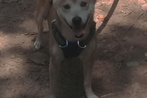 AYX GAMING-冠军之路：联盟顶尖球队的成功秘诀，冠军联盟是什么