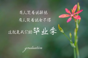 爱游戏中国官方登录入口网站-《Valorant 夏季邀请赛,Liquid战队战术打爆对手》,valorant战绩