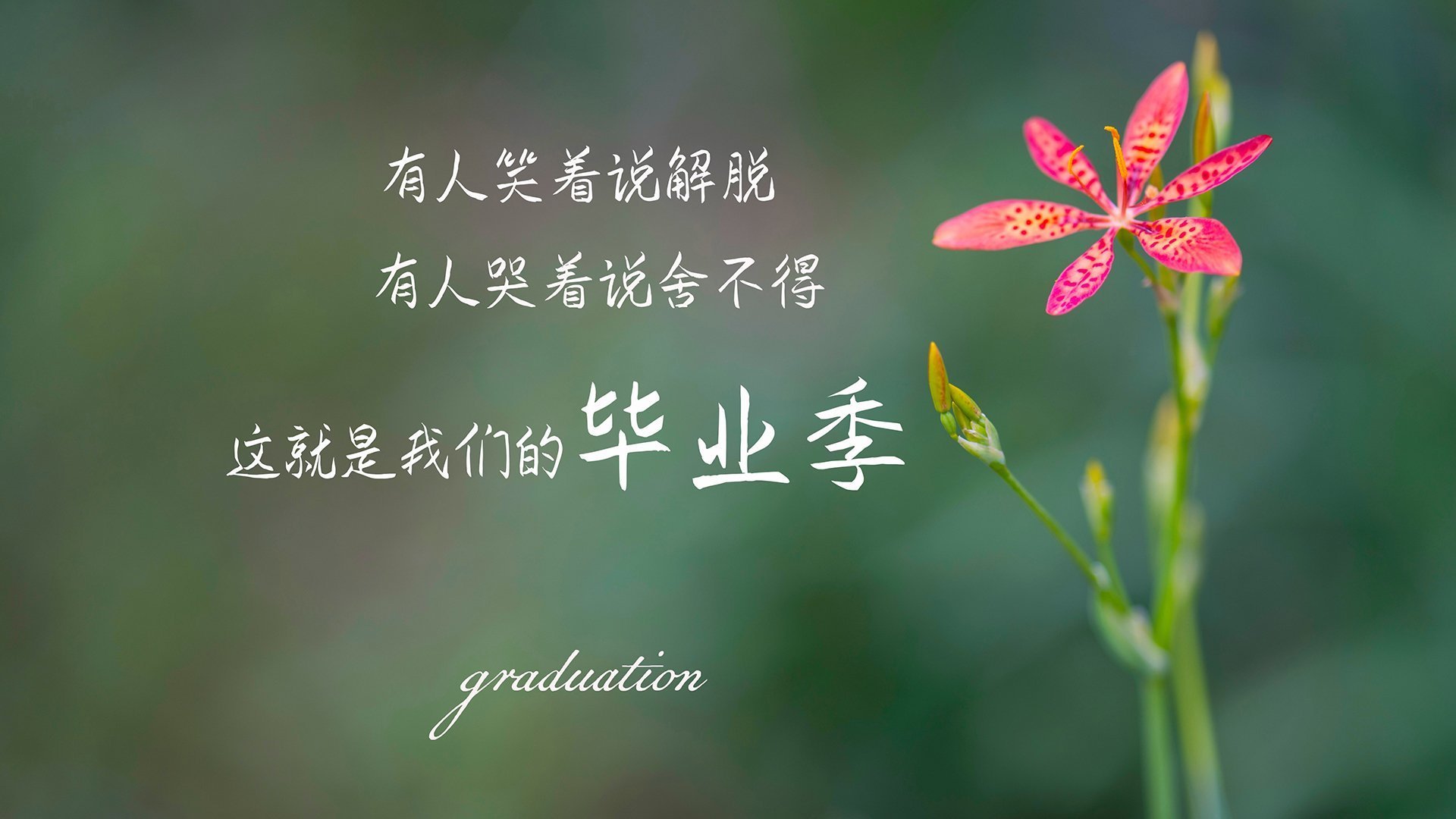 《Valorant 夏季邀请赛,Liquid战队战术打爆对手》,valorant战绩