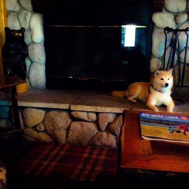 乌拉圭男足在巴黎奥运会比赛中获得铜牌，创历史